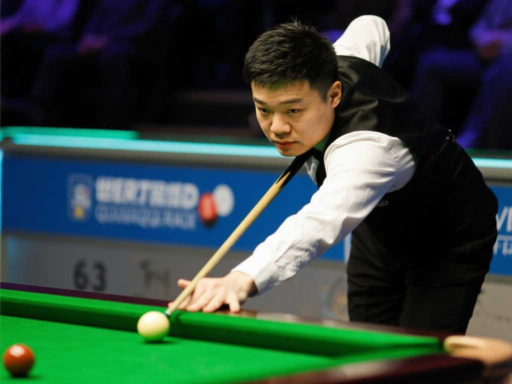 她的这番预 她的这番预