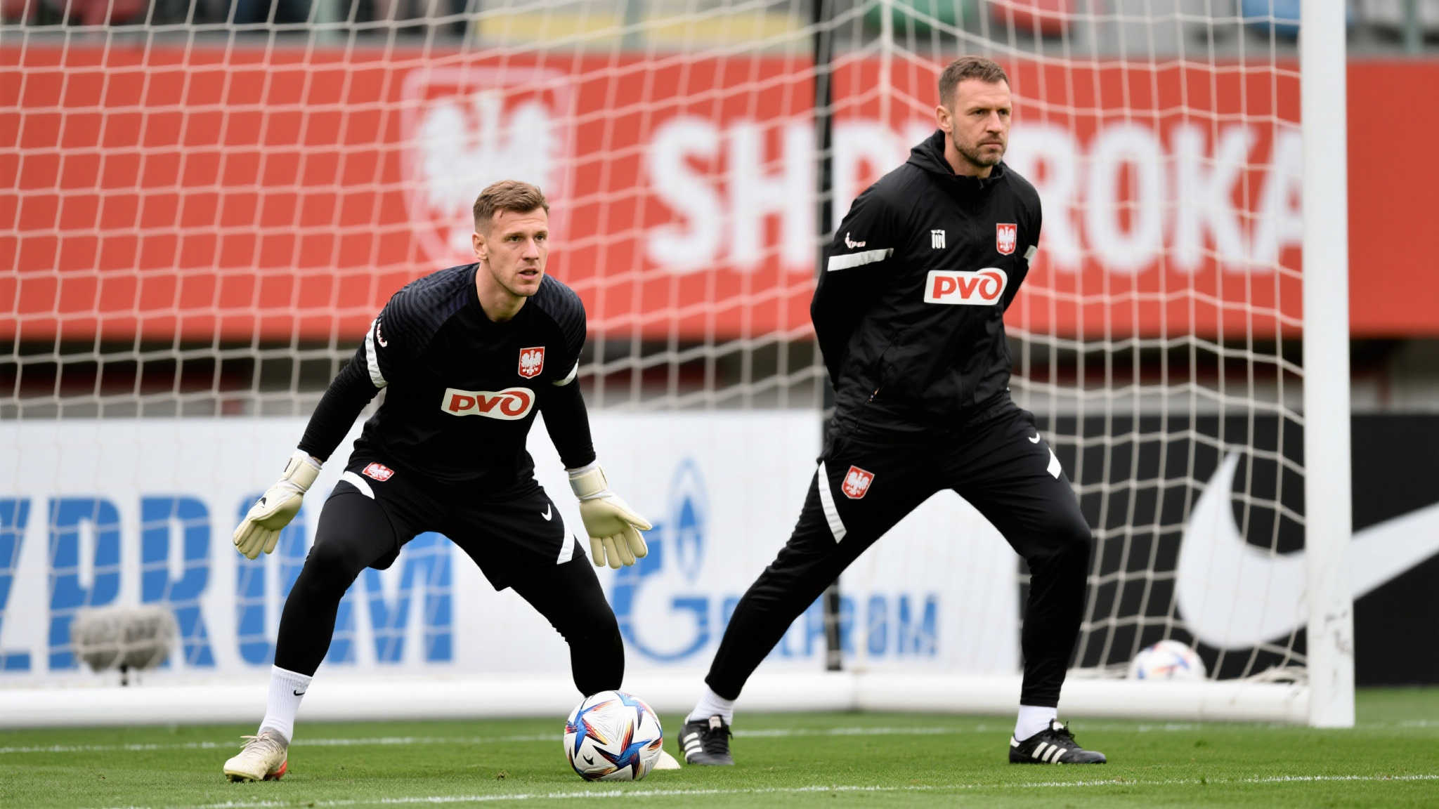 主力球员的 主力球员的