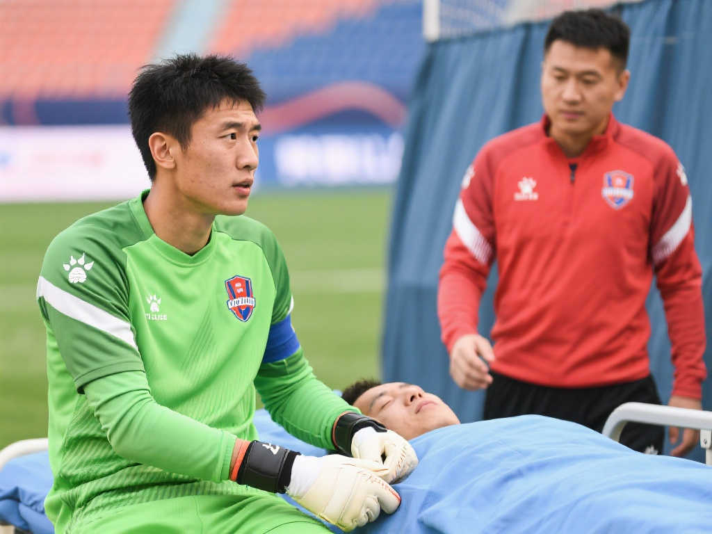 体系进行升 体系进行升